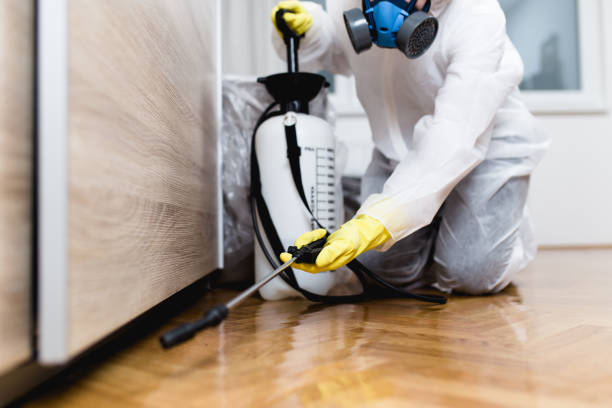 Best Bed Bug Extermination  in Taos, NM