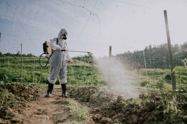 Best Best Pest Control Companies  in Taos, NM