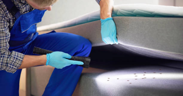 Pest Prevention Services in Taos, NM