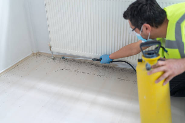 Best Termite Control Services  in Taos, NM