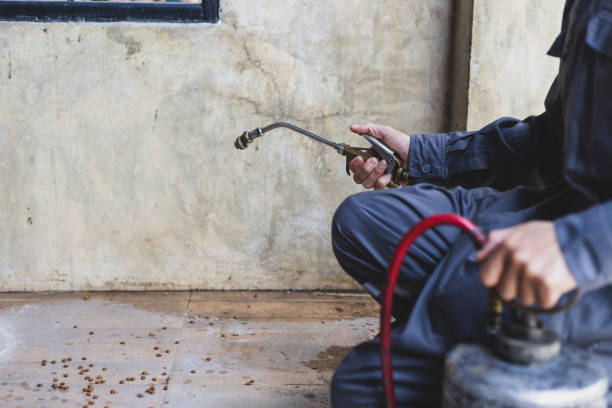 Best Rat Extermination Near Me  in Taos, NM